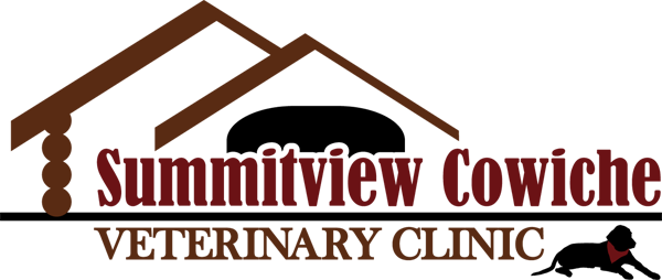 Summitview Cowiche Vet Clinic - Yakima, WA